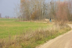 Jezioro Rajgrodzkie 6.11.2011r (86)